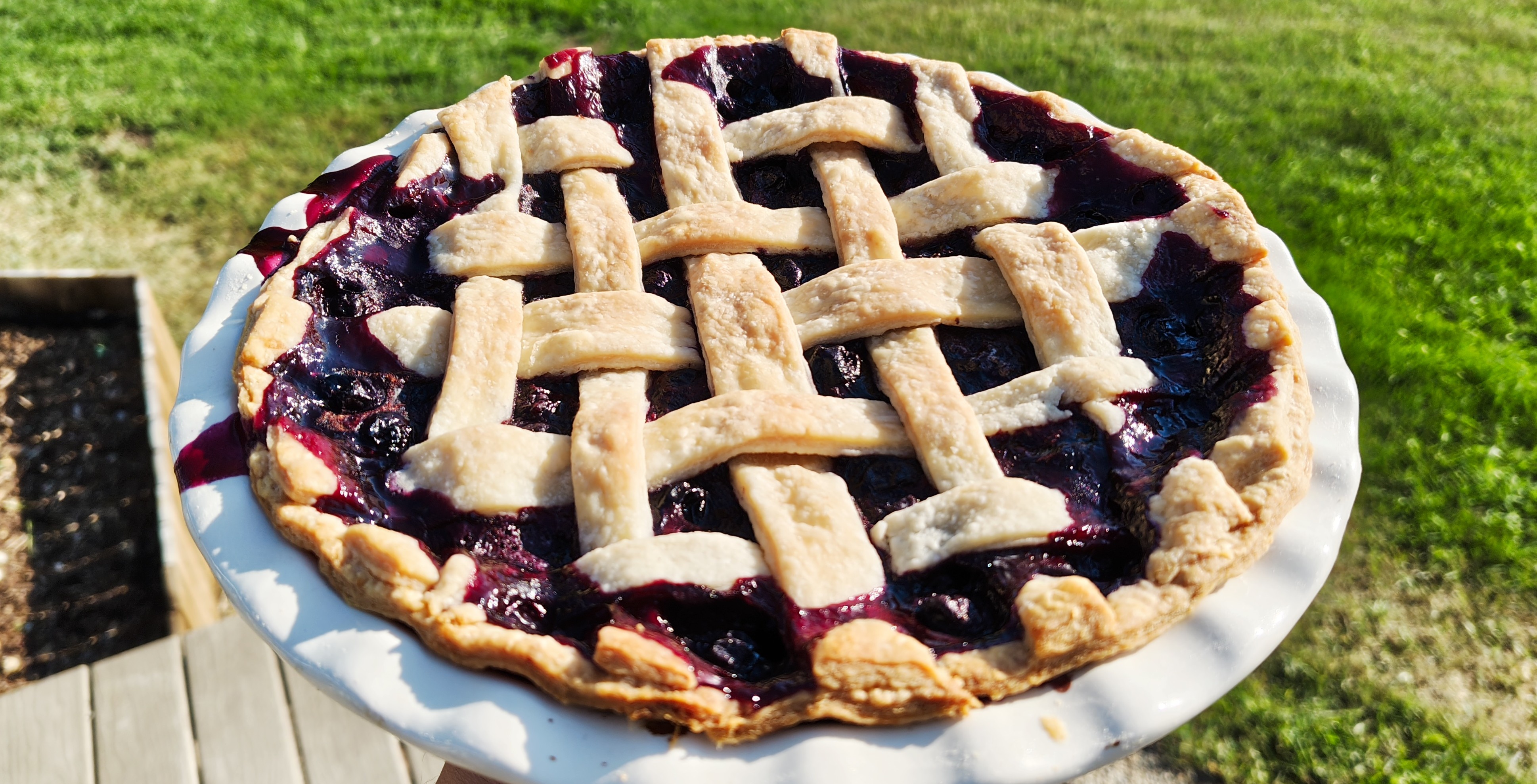 A baked blueberry pie – 2026